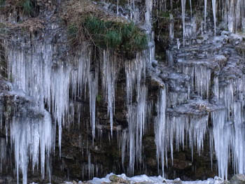 11_0115_turara05.jpg
