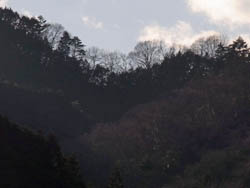 11_0115_yamanami.jpg