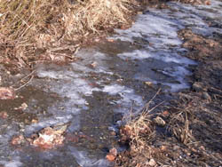 11_0131_freezingday03.jpg