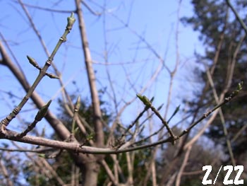 11_0226_mayumi.jpg
