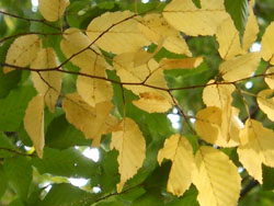 11_1030_inuside3.jpg