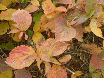 11_1112_t_utugi1.jpg