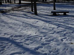 12_0126_snow01.jpg