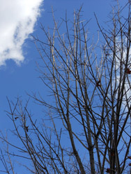 12_0228_satou_k1.jpg