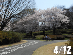 12_0418_park.jpg