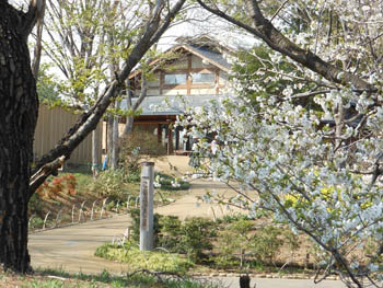 12_0421_komorebi_s1.jpg