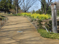 12_0421_komorebi_s4.jpg