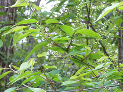 12_0501_uwamizu_z1.jpg
