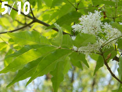 12_0519_m_aodamo1.jpg