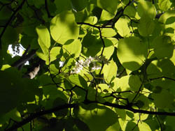 12_0521_hakuun_b04.jpg