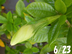 12_0623_kokutinasi.jpg