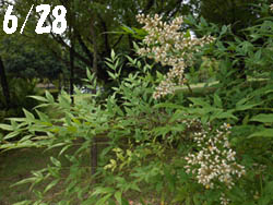 12_0703_nan_ten1.jpg