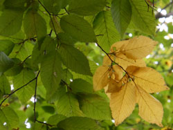 12_1127_inuside.jpg