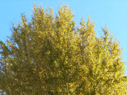 12_1215_ityou3.jpg