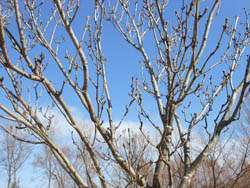 13_0116_y_aodamo1.jpg