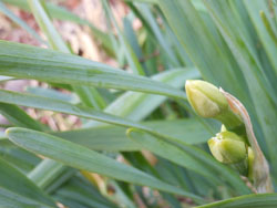 13_0206_suisen.jpg