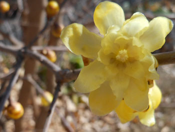 13_0210_s_roubai5.jpg