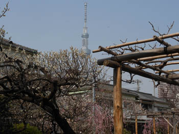 13_0318_k_tenjin08.jpg
