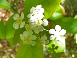 13_0514_kamatuka.jpg