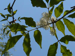 13_0518_m_aodamo3.jpg