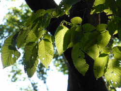 13_0519_inuside1.jpg