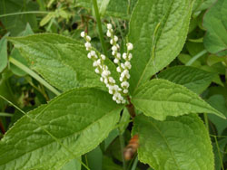 13_0612_futari_s2.jpg