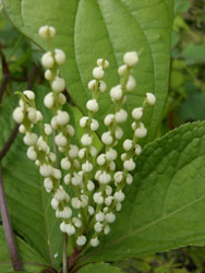 13_0612_futari_s3.jpg