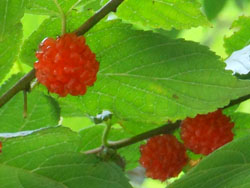 13_0708_kouzo5.jpg