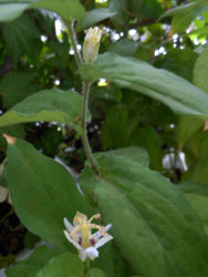 13_0908_yamajino_h06.jpg