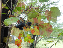 13_1016_kiduta2.jpg