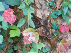 13_1028_natuduta.jpg