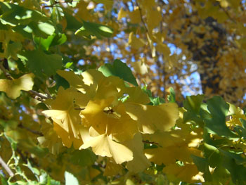 13_1212_ityo5.jpg