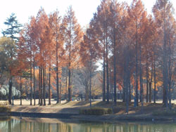 13_1219_rakuusho5.jpg