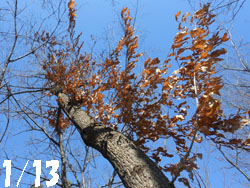 14_0125_kunugi1.jpg