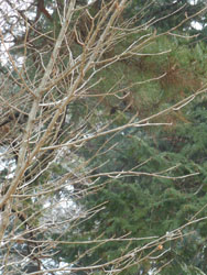 14_0206_kokusagi1.jpg