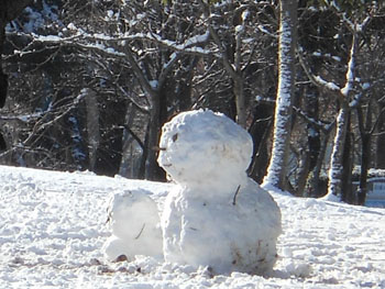 14_0211_yuki04.jpg
