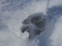 14_0211_yuki11.jpg