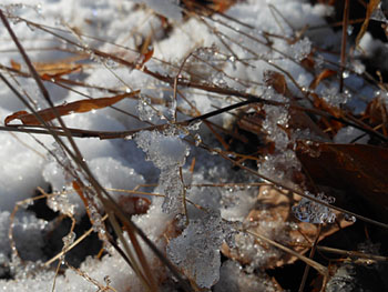 14_0212_mizutama.jpg
