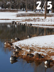 14_0217_onaga_g1.jpg