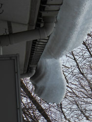 14_0218_ooyuki04.jpg