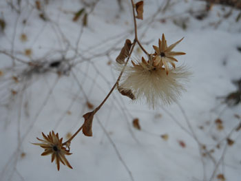 14_0223_kouya_b3.jpg