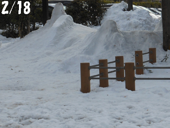 14_0226_snow11.jpg