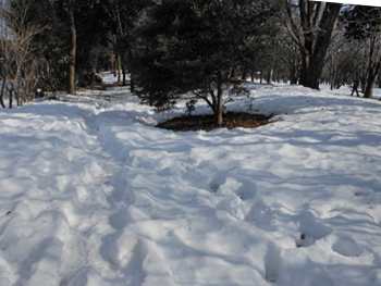 14_0228_kouen09.jpg