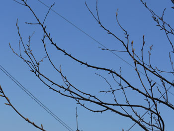 14_0319_uwamizu_z3.jpg