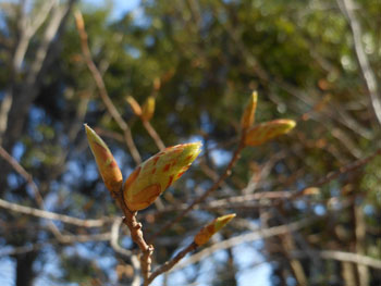 14_0329_kumaside.jpg
