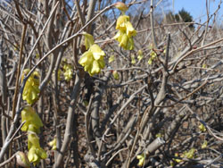14_0329_tosa_m1.jpg