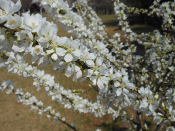 14_0412_yusura_u3.jpg