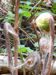14_0422_sida2.jpg
