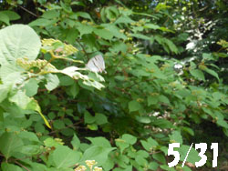 14_0629_m_onaga_s1.jpg