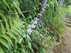 14_0802_a_tamuraso03.jpg
